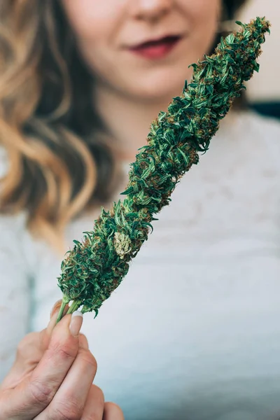 Frau Hält Marihuana Pflanze — Stockfoto