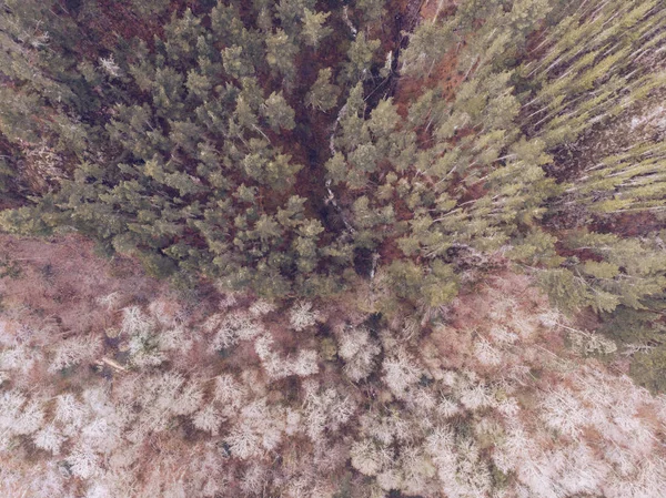 Dech Beroucí Drone Pohled Malé Domky Stojící Mýtině Blízkosti Nádherného — Stock fotografie
