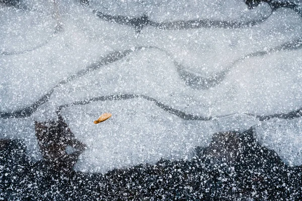 地面に降る雪 — ストック写真