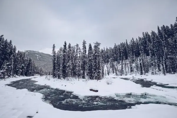 Fluss Mit Schneebedeckten Ufern Die Durch Spalten Fließen Winterwald Mit — Stockfoto