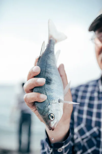 Bir Ekin Adam Tarafından Gösterilen Balık — Stok fotoğraf
