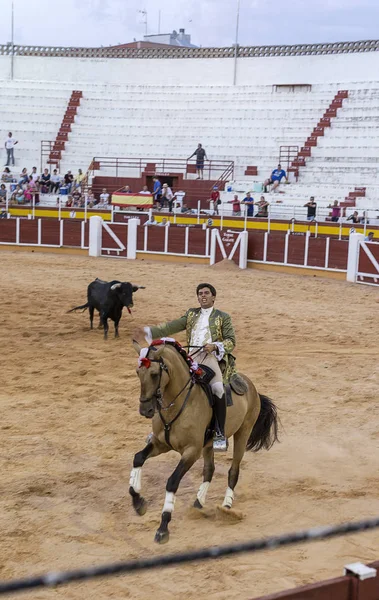 Hiszpania Tomelloso 2018 Zobacz Torreador Koniu Walki Bykiem Piaszczystej Powierzchni — Zdjęcie stockowe