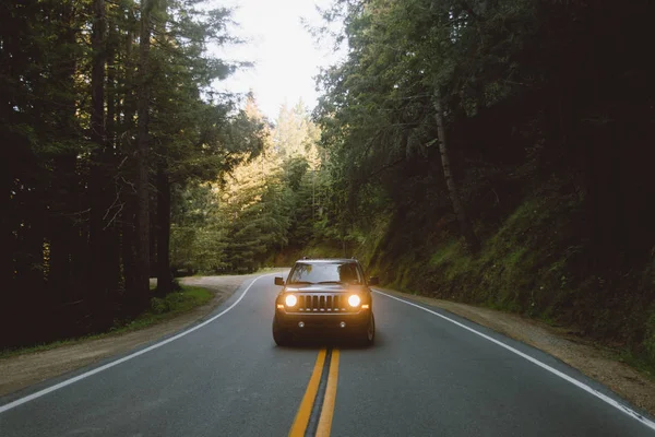 Modern Car Riding Middle Asphalt Road Magnificent Forest — Stock Photo, Image