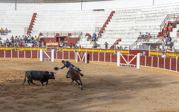 スペイン Tomelloso 2018 馬に乗って トリビューンの人々 と砂地の牛との戦いは闘牛士のビュー — ストック写真