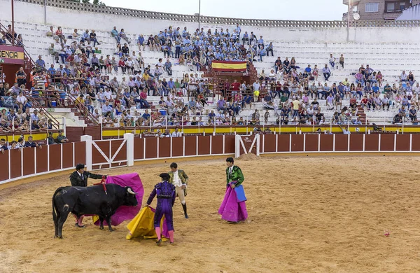 Hiszpania Tomelloso 2018 Walki Byków Mężczyzn Piaszczystej Arena Walk Byków — Zdjęcie stockowe