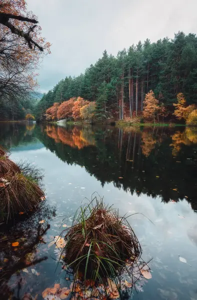 Fiume Calmo Tra Foresta Autunnale Colline — Foto Stock