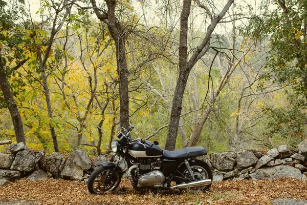 Café Moto Corredor Estacionado Una Carretera Entre Los Árboles Otoño — Foto de Stock