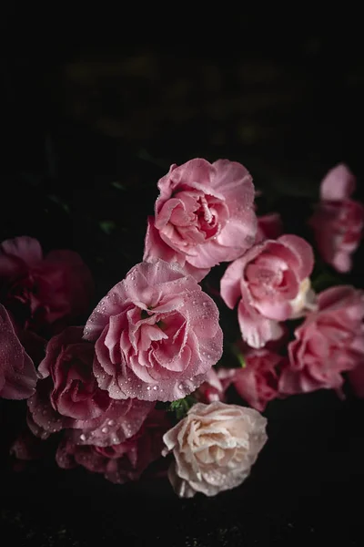 Fresh Bouquet Pink Carnations Flowers Dark Background — Stock Photo, Image