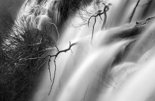 Underbart Vattenfall Nära Träd — Stockfoto