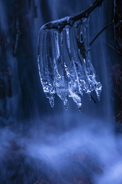 Крупный План Ветки Хрупкими Чистыми Сосульками Фоне Удивительного Водопада Холодный — стоковое фото