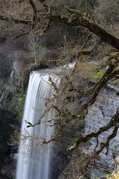 Albero Autunnale Senza Foglie Vista Pittoresca Sulla Scogliera Con Cascata — Foto Stock