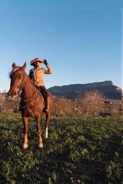 Feminino Chapéu Olhando Para Longe Sentado Belo Cavalo Contra Céu — Fotografia de Stock