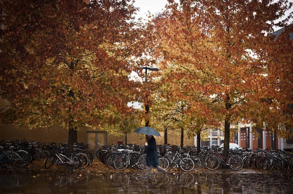 Unrecognizable Person Umbrella Walking Street Autumn Trees Bicycle Parking London — Stock Photo, Image