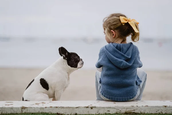 Вид Сзади Маленькой Девочки Возле Французского Бульдога Сидящей Пляже Моря — стоковое фото