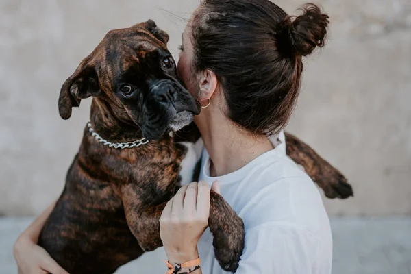Side View Attractive Woman Boxer Dog Kind Face Enjoying Embracing — Stock Photo, Image
