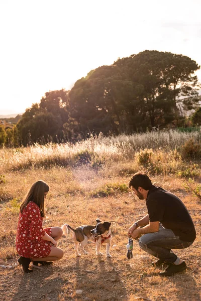 Gülümseyen Neşeli Çift Yüksek Çim Arasında Oturan Kırsal Küçük Köpek — Stok fotoğraf