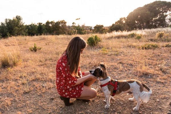 Uzun Saçlı Genç Kadın Oynarken Sevimli Köpek Sevgi Veren — Stok fotoğraf