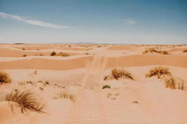 Trails Vehicle Wheels Sandy Dunes Arid Desert Sunny Day Morocco — Stock Photo, Image