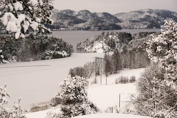 Vale Montanhoso Cênico Rural Com Árvores Cobertura Neve Costa Lago — Fotografia de Stock