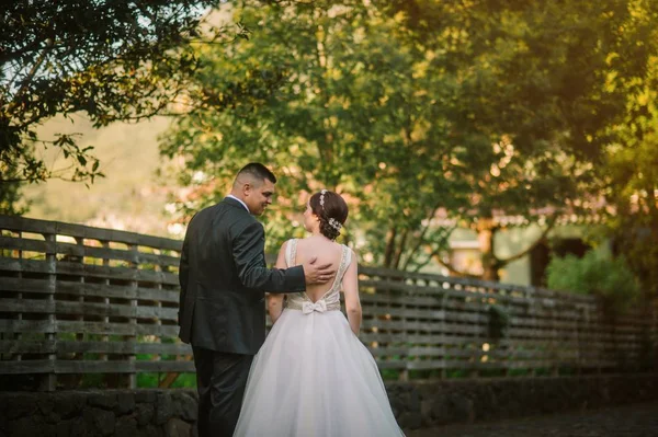 Novia Novio Sonrientes Abrazándose Parque — Foto de Stock