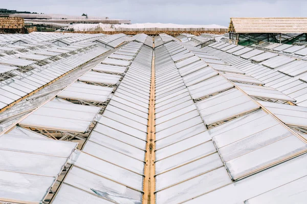 High Angle View Glass Roofs Greenhouses — Stock Photo, Image