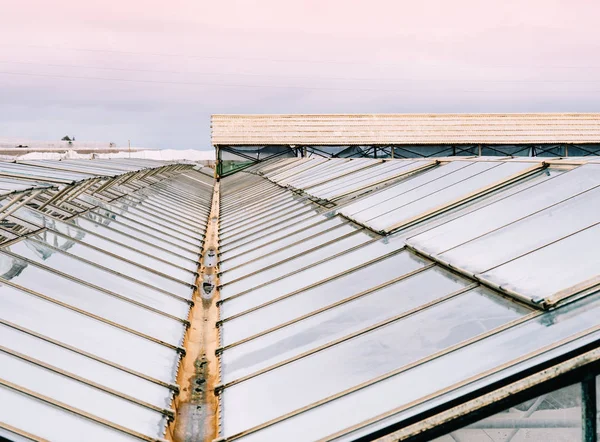 High Angle View Glass Roofs Greenhouses — Stock Photo, Image