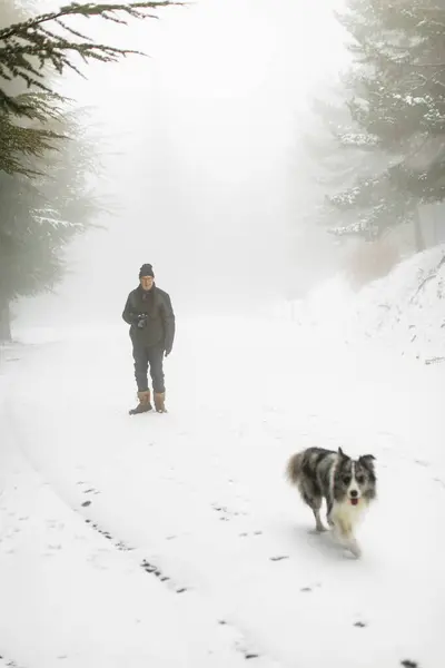 Senior Caucasian Man His Dog Hiking Snow — Stock Photo, Image