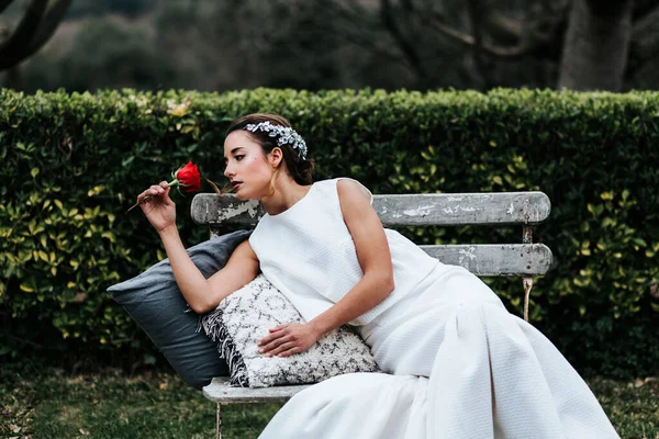 Atractiva Joven Vestido Blanco Con Rosa Roja Apoyada Suaves Almohadas —  Fotos de Stock