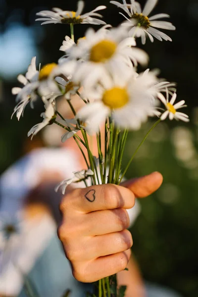 晴れた日に緑の草原に立っている間 新鮮なカモミールの花束を保持指の上にハートタトゥーの顔のない人 — ストック写真