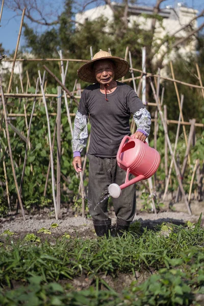 Pieno Corpo Uomo Asiatico Mezza Età Tradizionale Cappello Paglia Orientale — Foto Stock