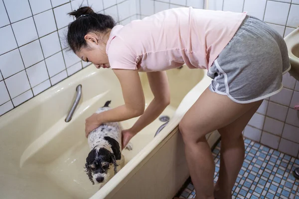 Seitenansicht Ethnische Asiatische Weibchen Waschen Süß Cocker Spaniel Welpe Badewanne — Stockfoto
