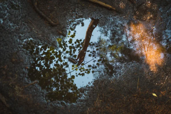 Ovanifrån Liten Pöl Vatten Reflekterande Arm Anonym Person Och Träd — Stockfoto