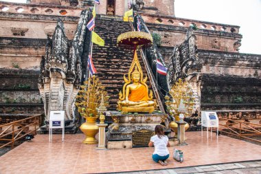 Chiang Mai, Tayland 'daki Wat Chedi Luang tapınağında Buda heykeli