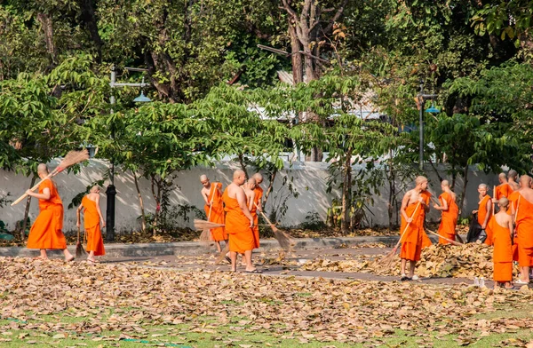  Wat Suan Dok yakınlarındaki Budist keşişler, Chiang Mai, Tayland