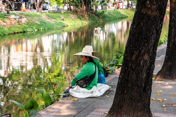  Tayland 'ın Chiang Mai şehrindeki Tayland bahçıvanı.