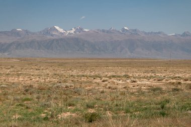 Sonbahar bitkileri dağların arka planına karşı. Doğal sonbahar bozkır arka planı.