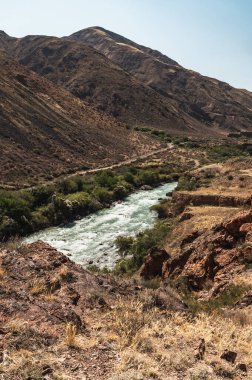 Kırgızistan 'ın Patlama Boğazı' ndaki Chu Nehri. Temiz, hızlı akan bir dağ nehri..