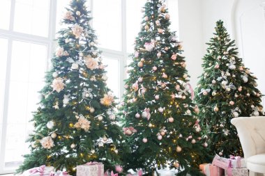 Arka plan bulanık. Parlak bir odada üç zarif Noel ağacı. Yeni Yıl ve Noel