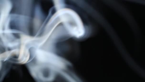 Aroma stick smoke close up on black background — Stok Video