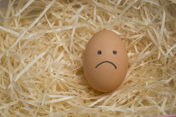 A brown chicken egg with a sad smile lies on a straw in a nest close up