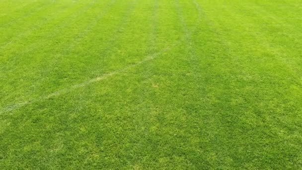 Futebol campo verde tiro de um drone com levantar — Vídeo de Stock