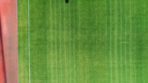 Una cortadora de césped está cortando un campo de fútbol. Vista aérea en un día soleado. La cámara está erguida . — Vídeos de Stock