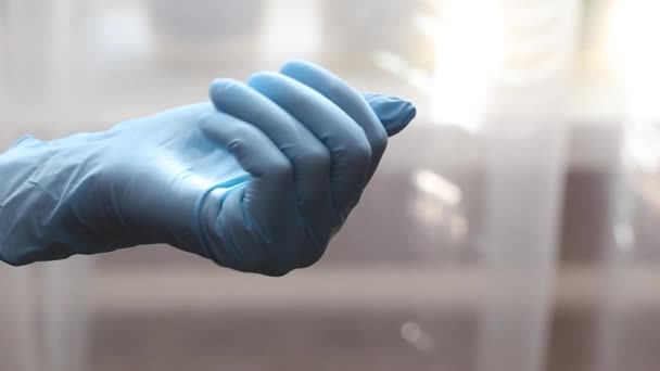 Γυναικείο χέρι σε ιατρικό γάντι με ένα δισκίο closeup — Αρχείο Βίντεο