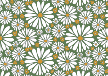 Beyaz papatyalarla kusursuz desen yeşil arka planda papatyalar 