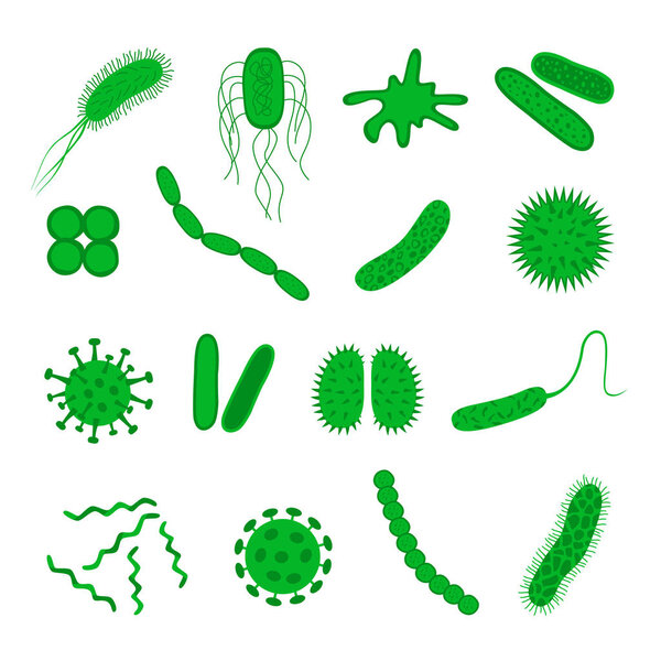 Germs and bacteria icons set  isolated on white background.  Shape of bacterial cell: cocci, bacilli, spirilla.  Vector  illustration in flat style.