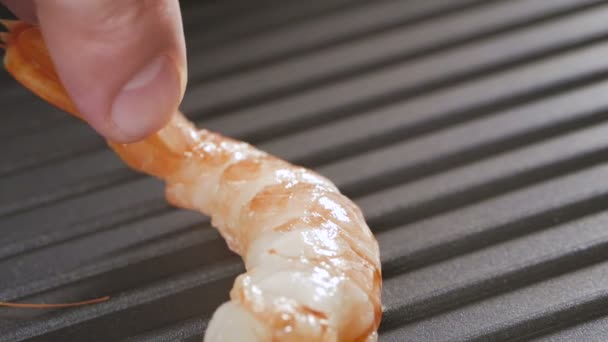 Udang Harimau Hitam Stok Video Udang Harimau Hitam Rekaman Bebas Royalti Depositphotos