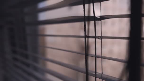 The view from the apartment window through the horizontal blinds. — Stock Footage The view from the apartment window through the horizontal blinds. Royalty Free Stock Video