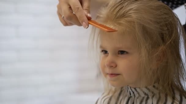 Stylist Hairdresser Makes A Hairstyle For A Cute Little Girl In A