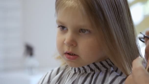 Stylist hairdresser makes a hairstyle for a cute little girl in a beauty salon. Hairdressing, hair cutting. — Stock Footage Stylist hairdresser makes a hairstyle for a cute little girl in a beauty salon. Hairdressing, hair cutting. Royalty Free Stock Footage
