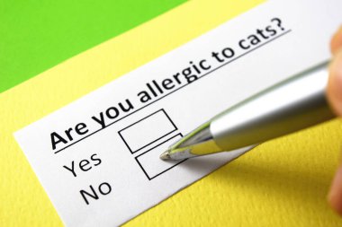 Kedilere alerjin var mı? evet ya da hayır?